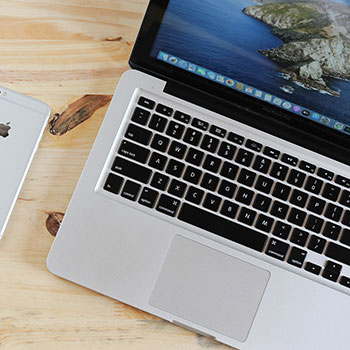 彩色成人直播app官方下载